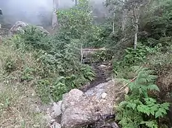 Stream near Remexio