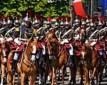 Cavalry of the French Republican Guard  - Bastille Day 2008 celebrations