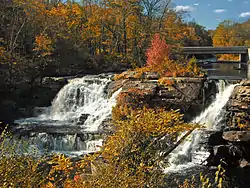 The Resica Falls