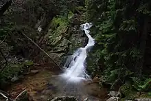 Waterfall in Retezat National Park