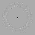 Pinna-Brelstaff illusion: the two circles seem to move when the viewer's head is moving forwards and backwards while looking at the black dot.