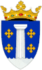 Coat of arms of Rezina