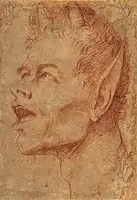 Head of a Satyr, ca. 1625-30, red chalk, 30.3 x 21.1 cm., Metropolitan Museum of Art