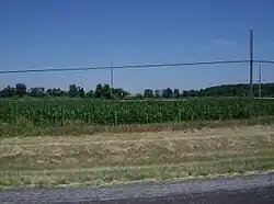 Cornfields along Interstate 75