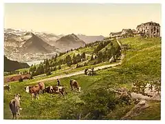 Scheidegg in the 1890s, showing the hotel that once occupied the peak.
