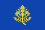 Flag of Rijssen