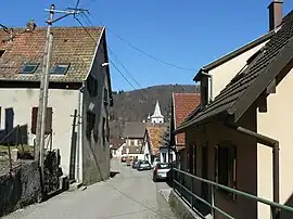 A view within Rimbachzell