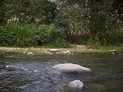 Río Negro in Rionegro