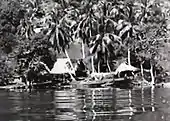 Homes by Río Dulce, filmed from one of the IRCA steamboats. The Tarzan movies shows almost identical shots.