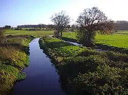 River Bure downstream of the mill