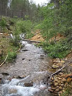 A creek flowing into the Lemmenjoki River