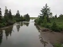 A channel with forest on the banks