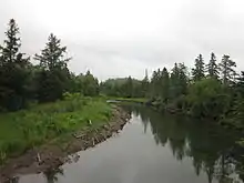 A channel with its wooded banks