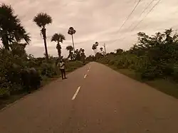 Road at Jami village