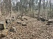 Rock Walls in Forwood Preserve