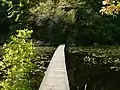 Echo Pond boardwalk