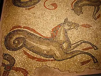 Hippocamp mosaic