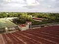 Roof Garden