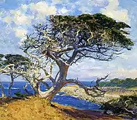Guy Rose, Monterey Cypress, c. 1918