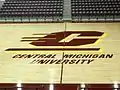 CMU logo at midcourt