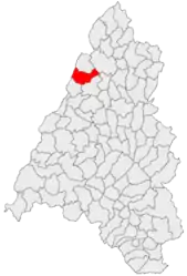 Location in Bihor County