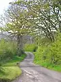 Looking towards Roughwood Bridge and Burnside