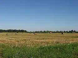 A field in Salt Creek Township