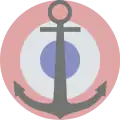 France (Naval Aviation, low visibility)