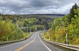 Route 220 near Lake Brompton.