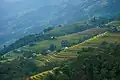 Rice terraces in Hoang Su Phi, Ha Giang, Viet Nam.