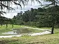 Wetlands restoration