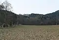 View of the ruin from the Großau – Schwarzensee road