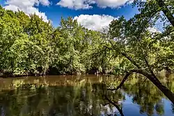 Clearwater River in Clearwater