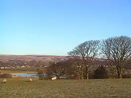 A landscape of trees, hills and a small body of water