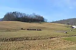 Fields on Run Road