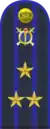 Lieutenant colonel