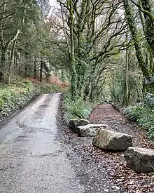 Trackbed of the branch to Ruthernbridge where it crosses the lane, taken in 2020