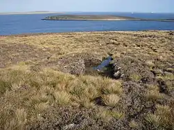 Rysa Little viewed from Pegal Head on Hoy