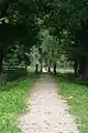 A wooded trail through Sänna Park