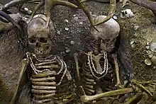 Skeletons with trivia ornaments