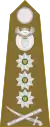 Lieutenant general(South African Army)