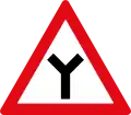 Y-junction