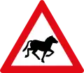 Horses ahead