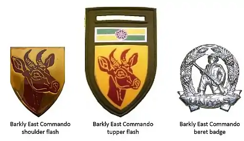 SADF era Barkly East Commando insignia