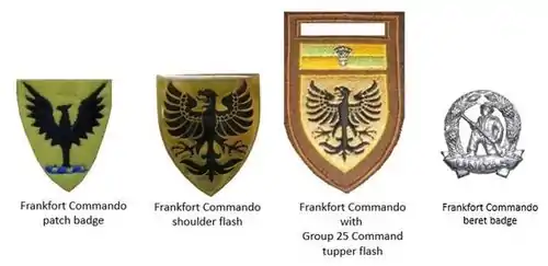 SADF era Frankfort Commando insignia