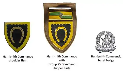 SADF era Harrismith Commando insignia