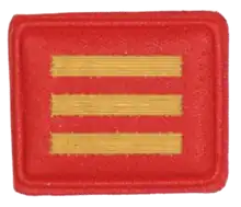 SANDF - Embossed Good Conduct Badge - SA Army - SA Army Band Uniform - National Flag Red with Gold Stripes - Level III