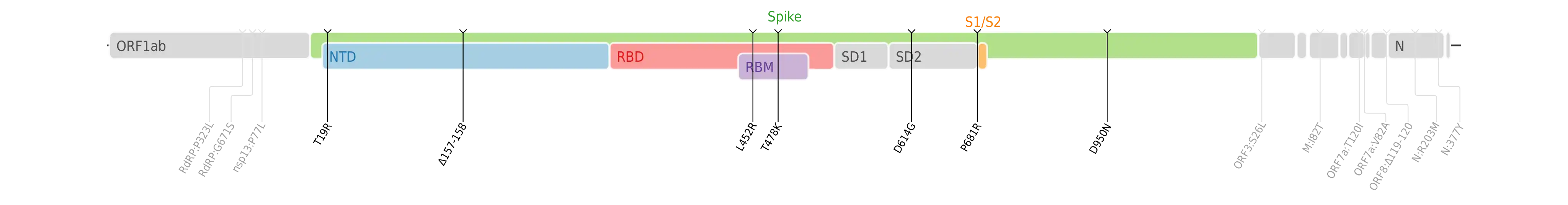 Amino acid mutations of SARS-CoV-2 Delta variant plotted on a genome map of SARS-CoV-2 with a focus on Spike