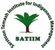 SATIIM logo