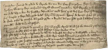 Colour photograph of a thirteenth-century petition to the King from the villagers